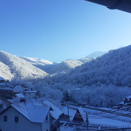 Std Cvetkovic Bed & Breakfast Crni Vrh Dış mekan fotoğraf