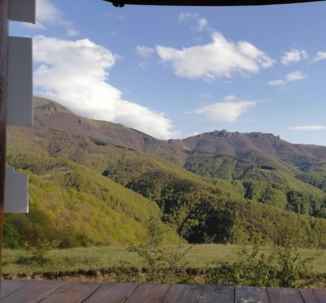 Std Cvetkovic Bed & Breakfast Crni Vrh Dış mekan fotoğraf